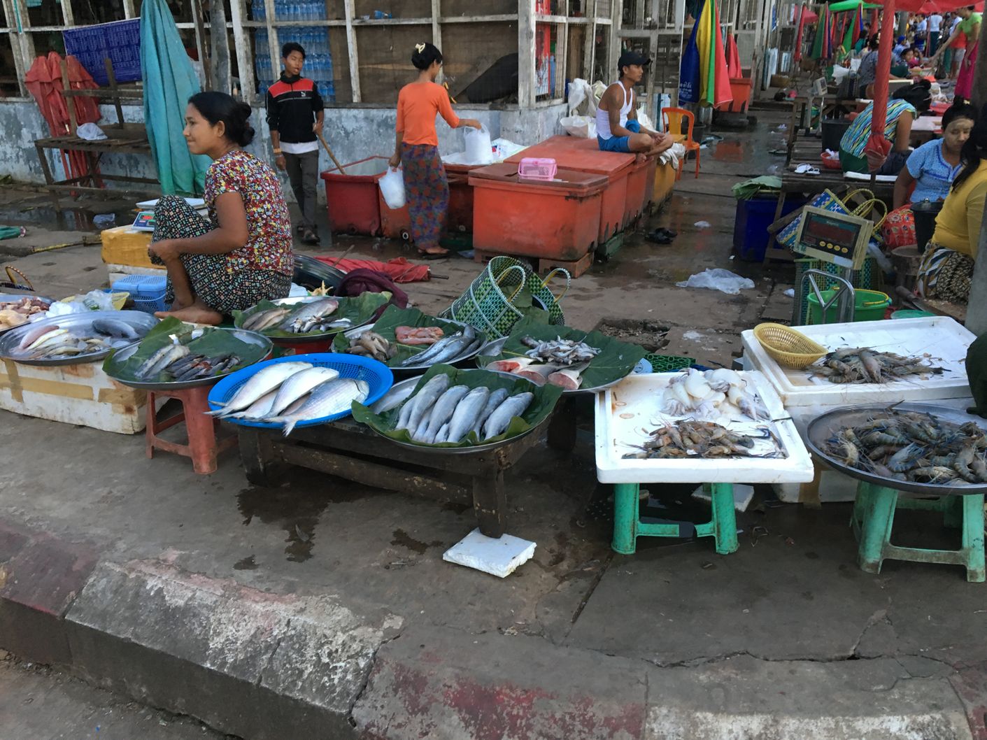 fish shop at a local market in Naypiydaw