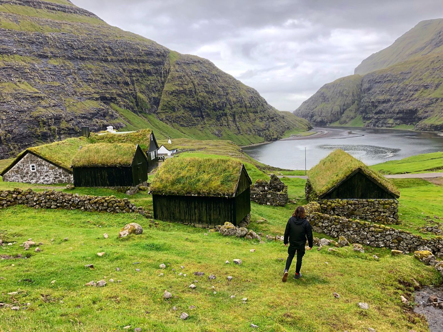 fjord with 4 houses and grass on top of the roofs