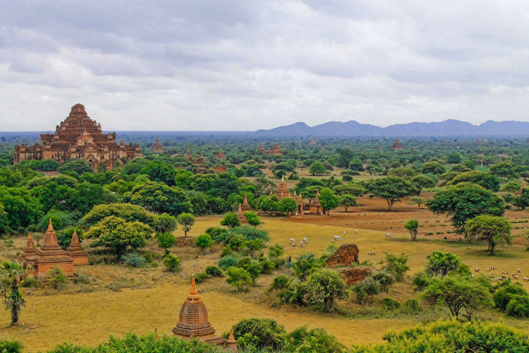 view of many temples in Bagan, must stop when backpacking in Myanmar