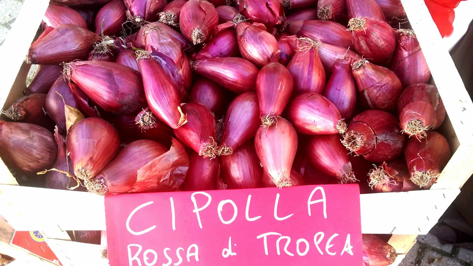 a bag full of tropea red onions, local product of Calabria