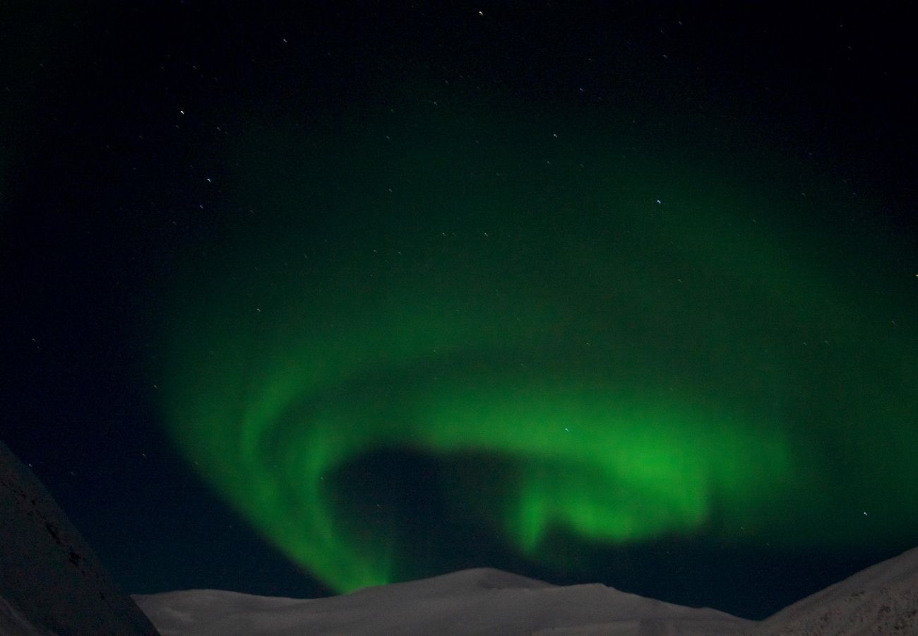Northern lights in Svalbard