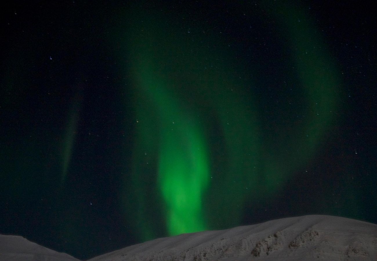 Aurora borealis in svalbard
