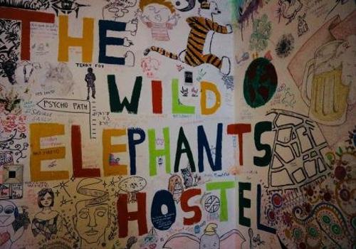 wild elephants hostel in Bratislava
